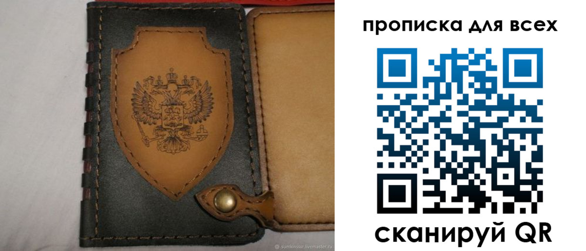 прописка для школы в Мытищах